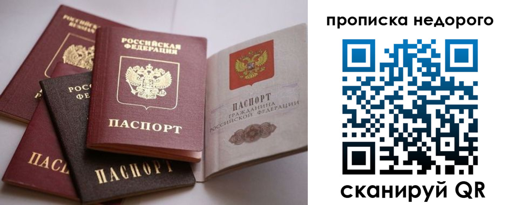 временная регистрация для школы в Белгородской области